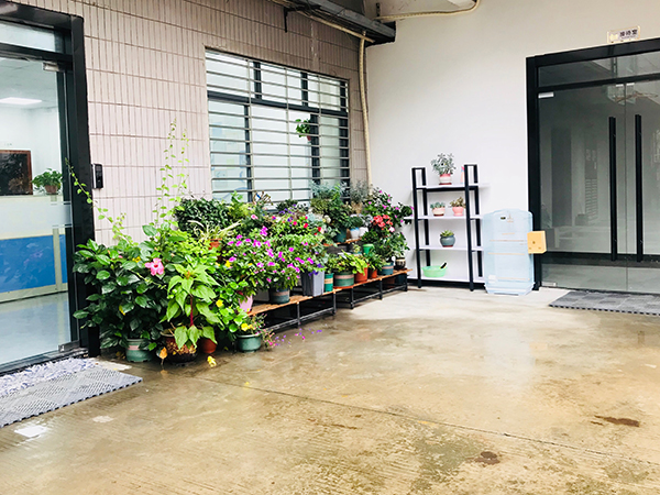 A corner of the office